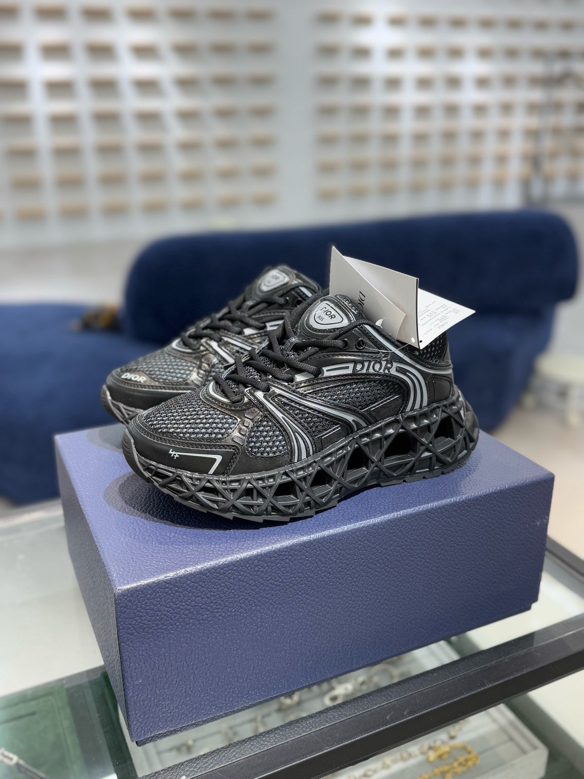 DIOR B35 Dad Shoes