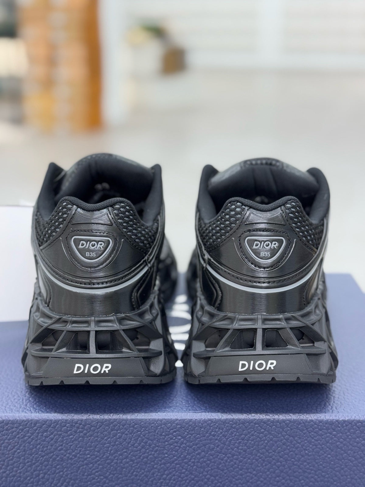 DIOR B35 Dad Shoes